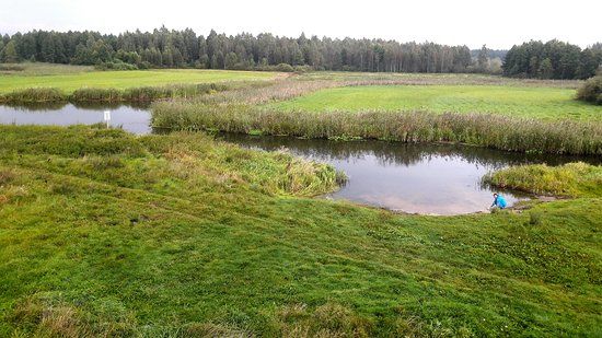 Biebrzański Park Narodowy
